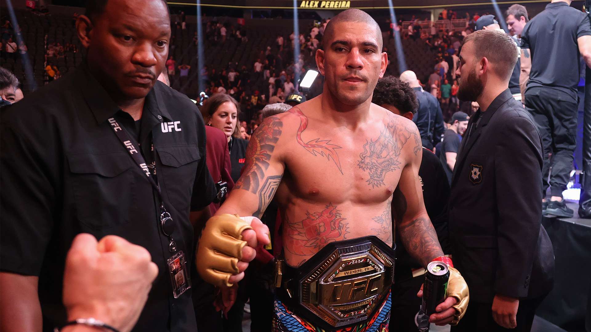 有了更多的 有了更多的